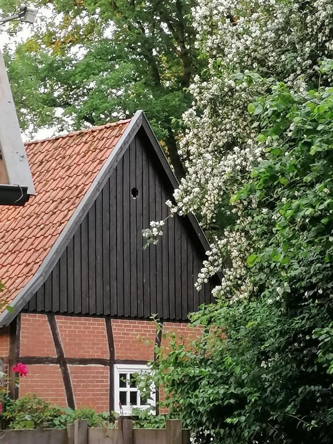 Ferienhaus In Rumke Bippen Esterno foto