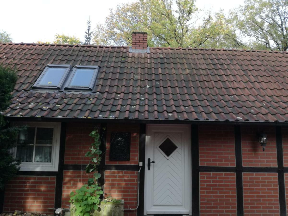 Ferienhaus In Rumke Bippen Esterno foto