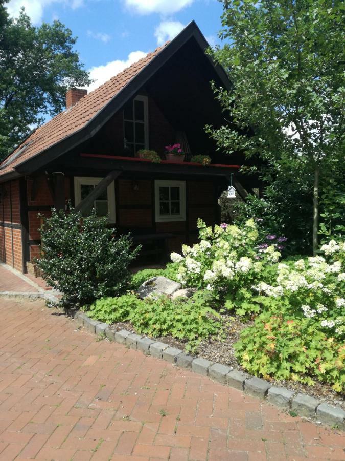 Ferienhaus In Rumke Bippen Esterno foto